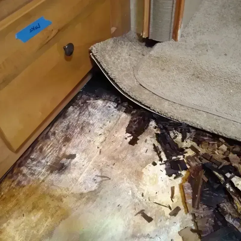 Best Wood Floor Water Damage Service in Altoona, PA